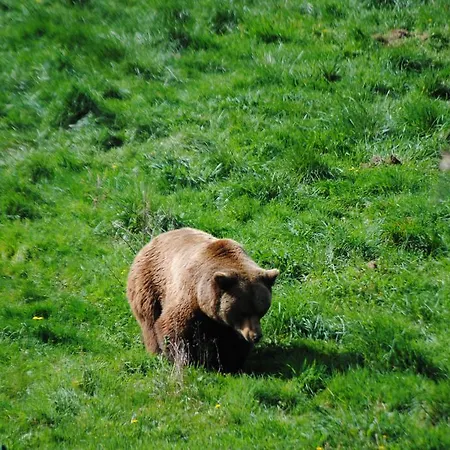 فندق Balcon De Aguera